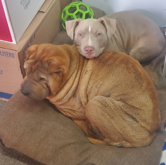 Meet your Posher, Alexandra - Picture 10 of 16